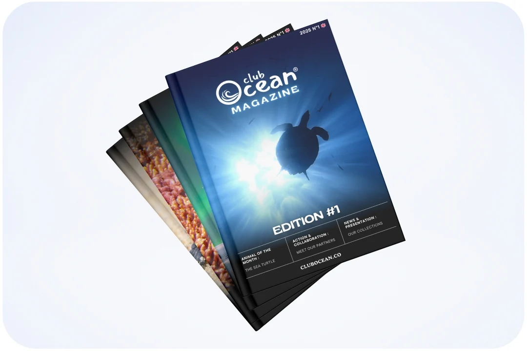 ClubOcean Magazine
