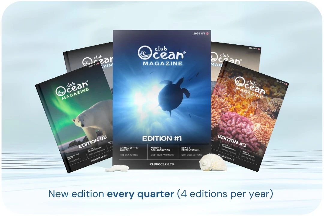 ClubOcean Magazine - Image 2