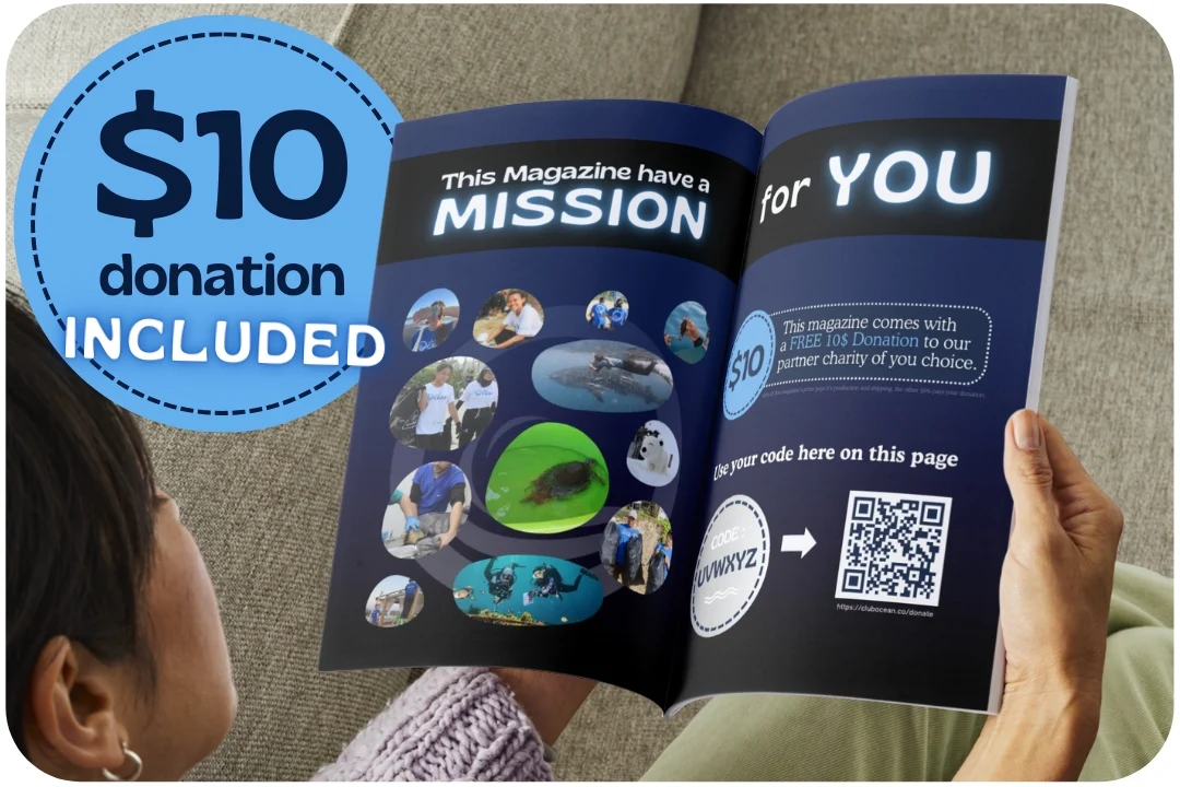 ClubOcean Magazine - Image 3