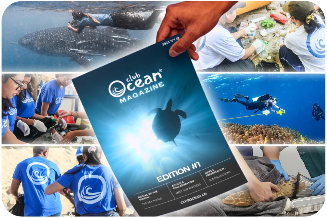 ClubOcean Magazine - Image 5