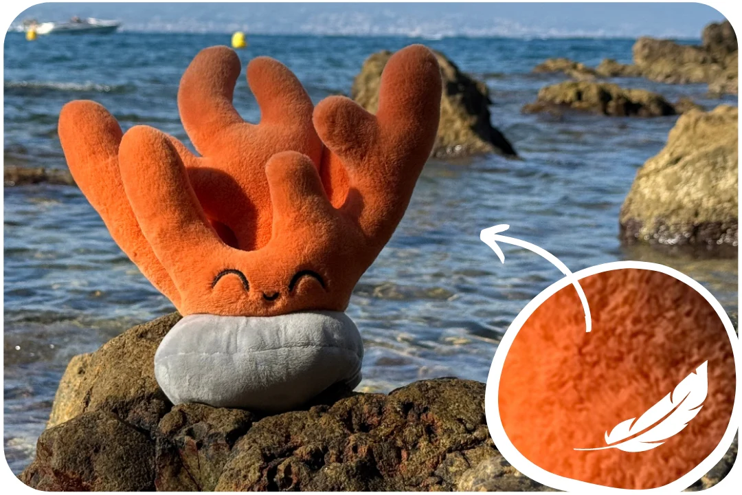 Coral Plushie - Image 4