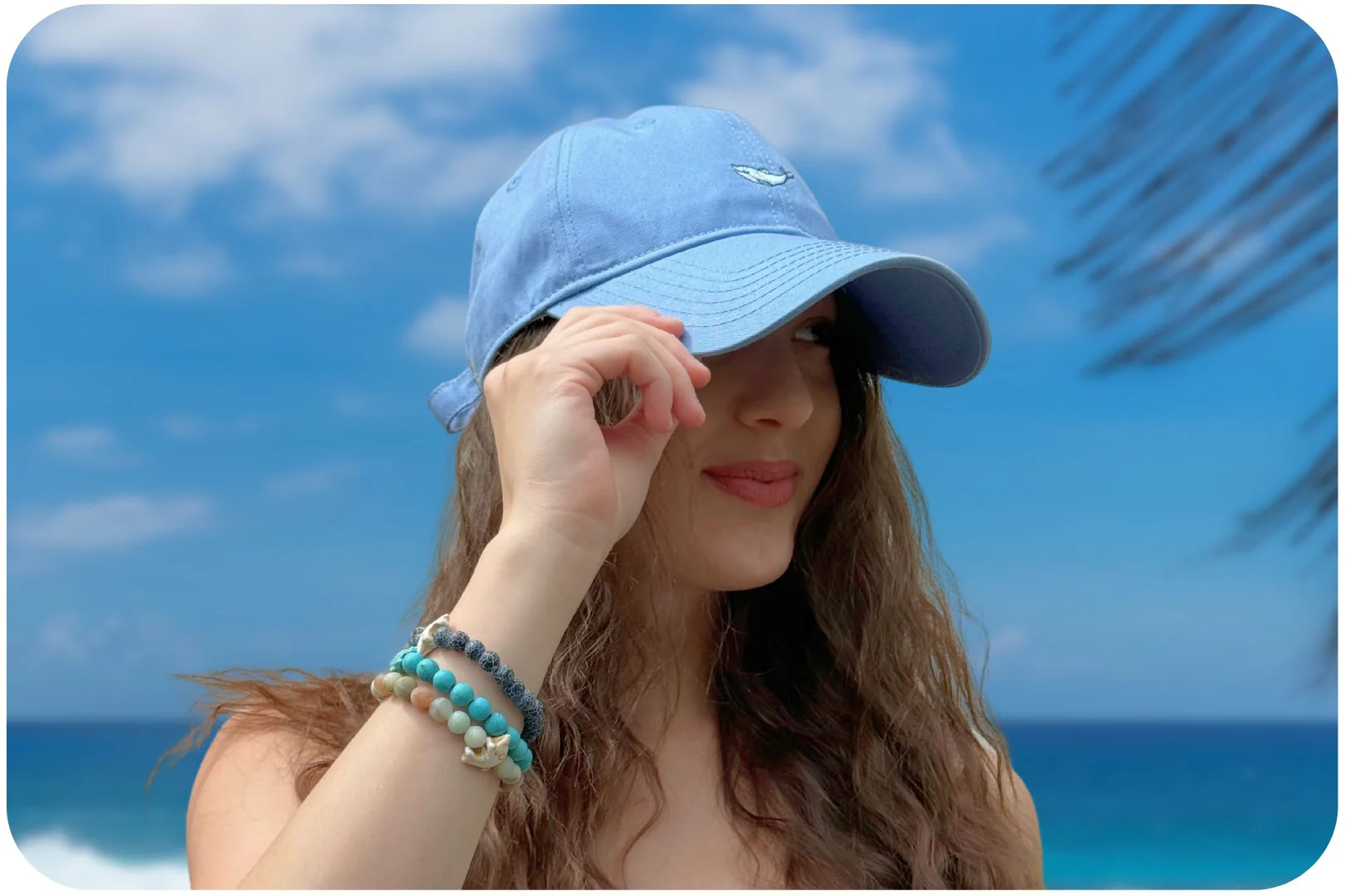 Dolphin Adoption Cap - Image 4
