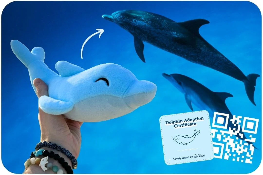 Dolphin Plushie - Image 6