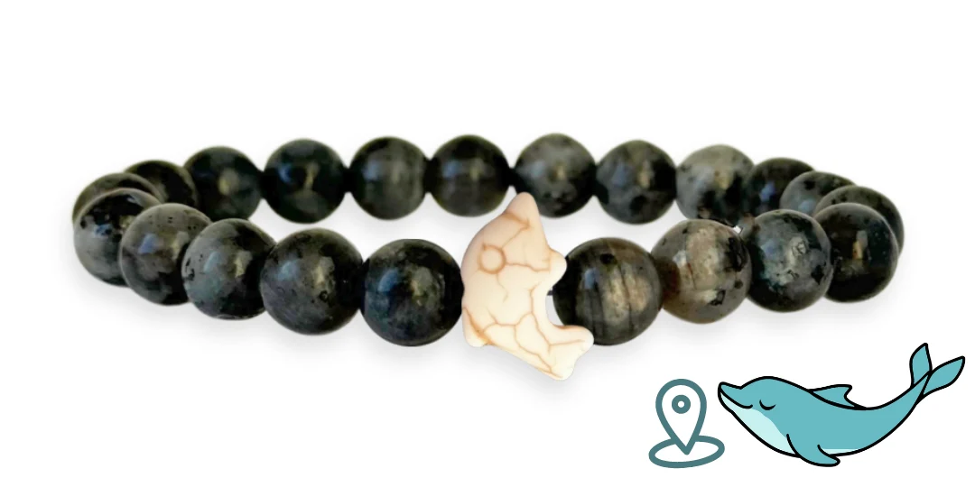 Dolphin Tracking Bracelet - Image 12