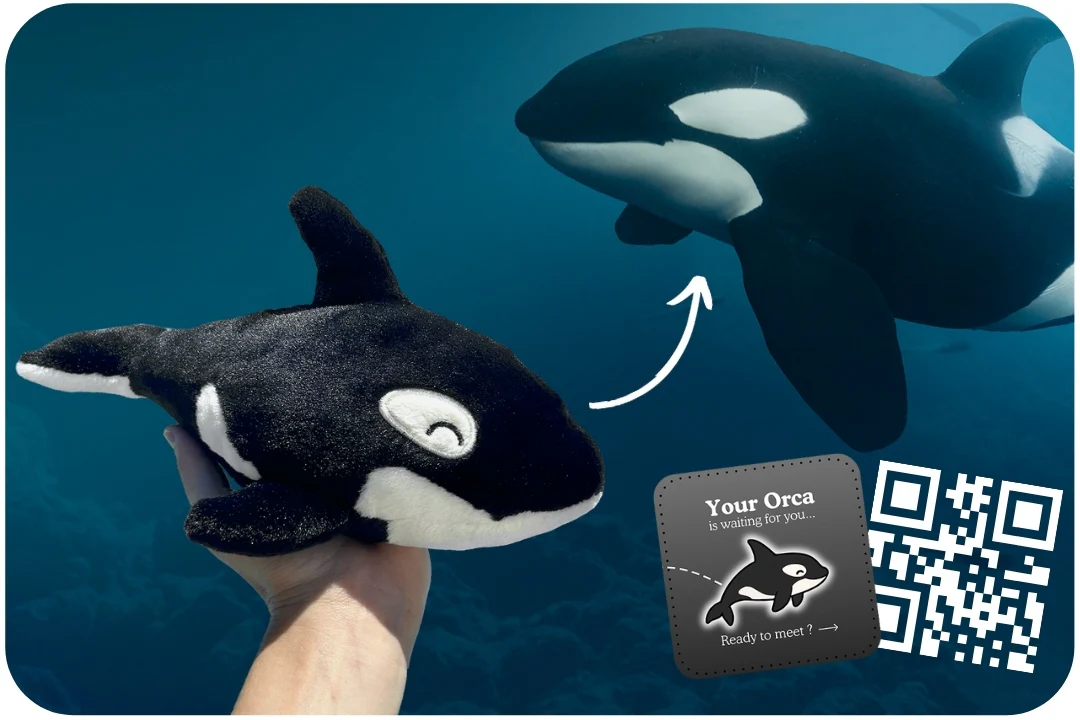 Orca Adoption Plushie - Image 5