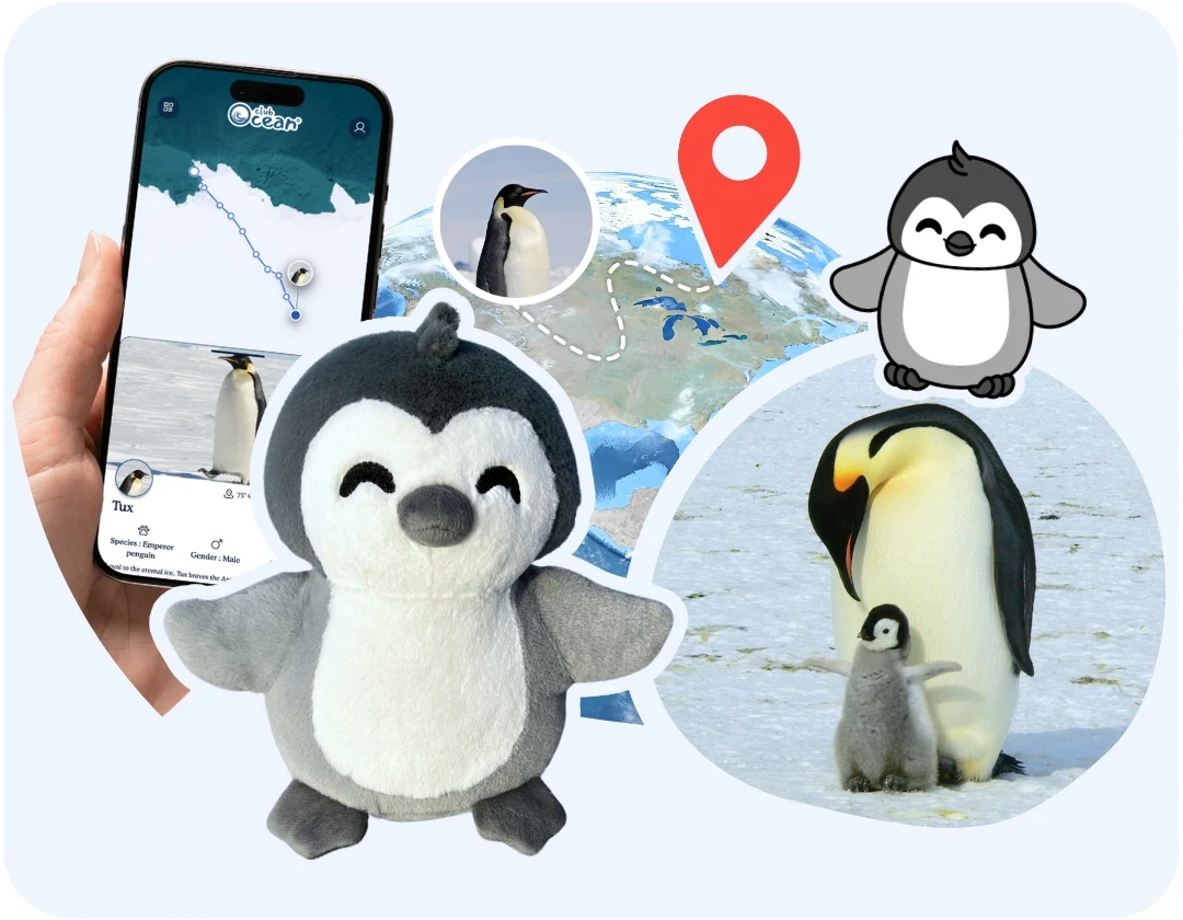 Penguin Plushie - Image 3