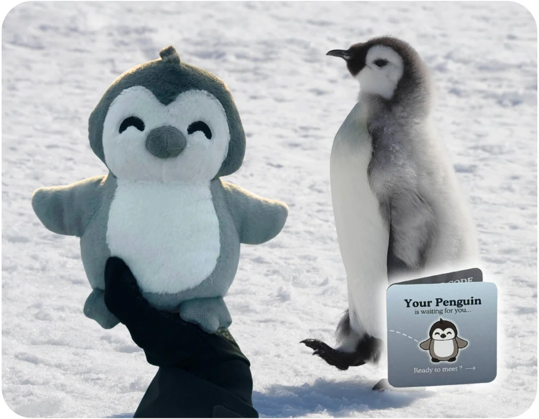 Penguin Plushie - Image 5