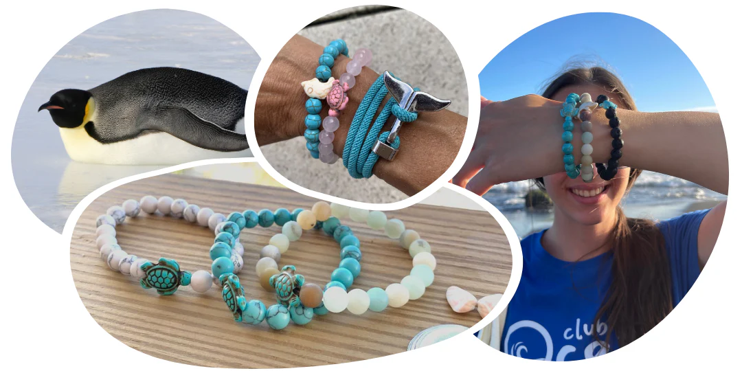 Penguin Tracking Bracelet - Image 3