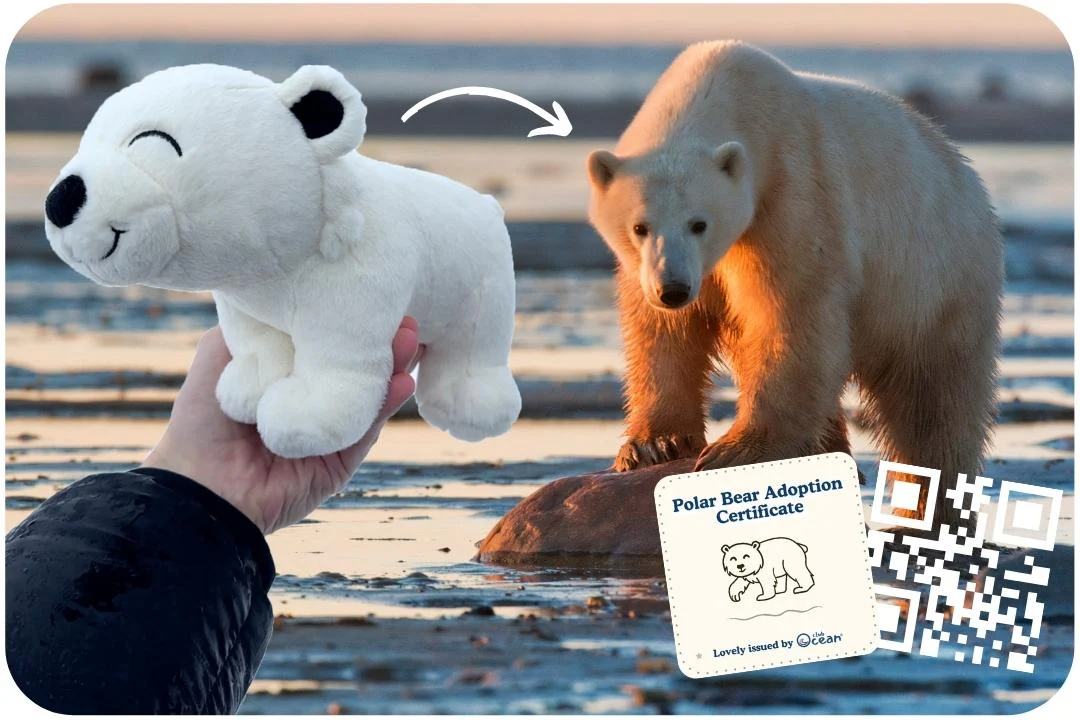 Polar Bear Plushie - Image 6