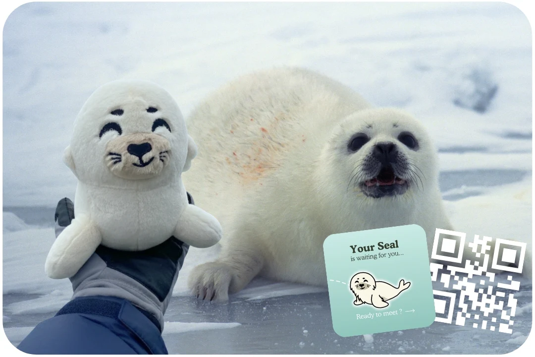 Seal Plushie - Image 6