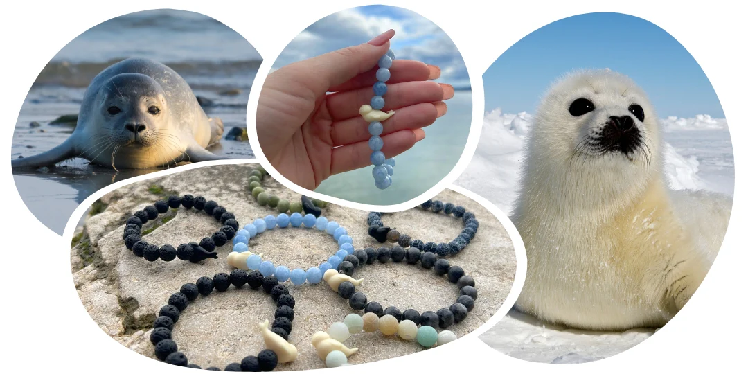 Seal Tracking Bracelet - Image 4