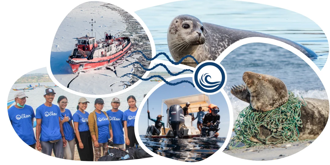 Seal Tracking Bracelet - Image 5