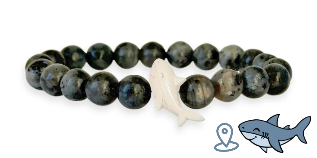 Shark Tracking Bracelet - Image 14
