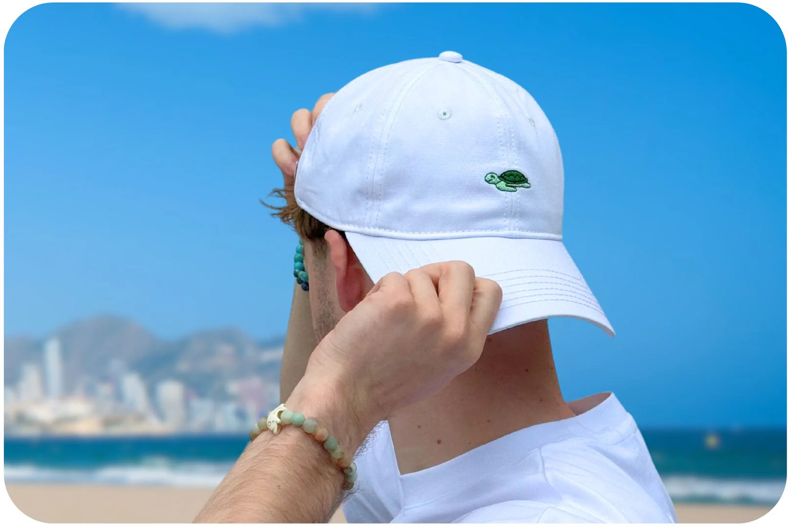Turtle Adoption Cap - Image 6