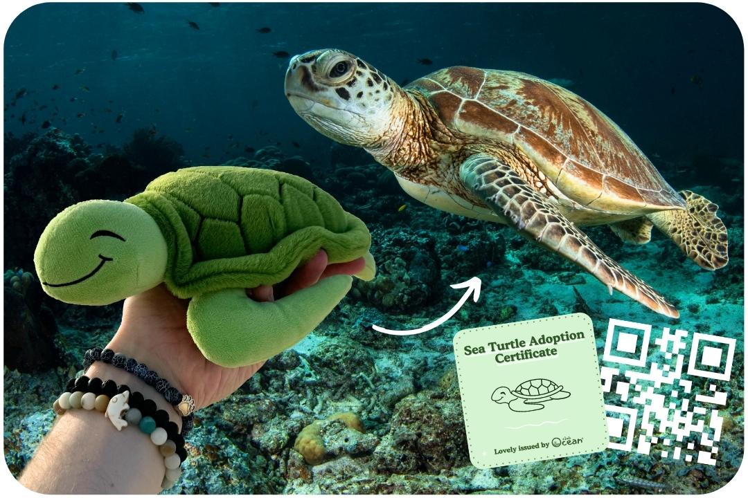 Turtle Adoption Plushie - Image 5