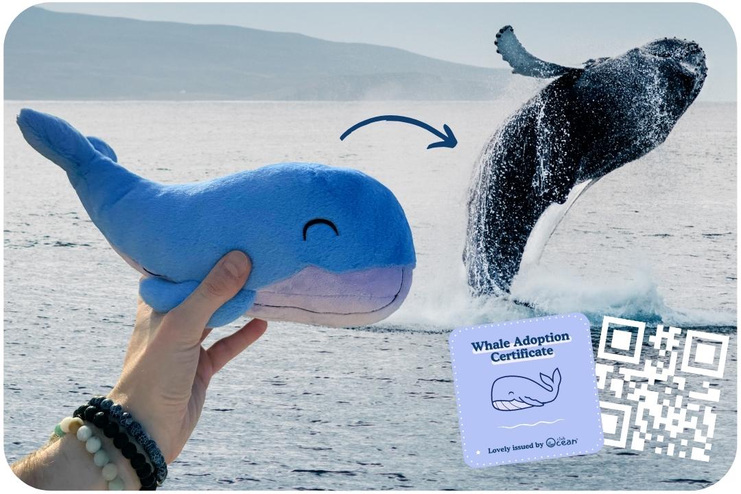 Whale Plushie - Image 6